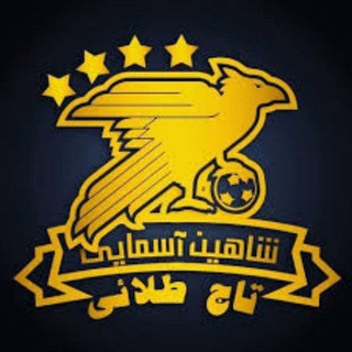 Telegram profile photo for 💲شاهین آسمایی💲
