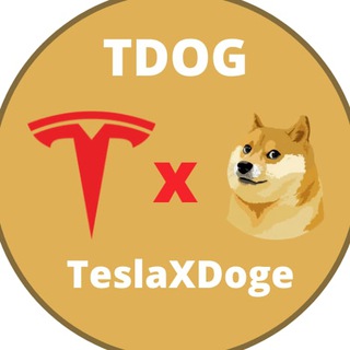 Telegram group profile photo for DogeTesla