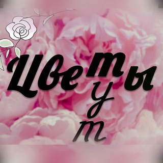 Telegram profile photo for Цветы тут | Доставка по Донецку | Подарки