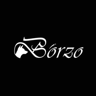 Telegram profile photo for BORZO