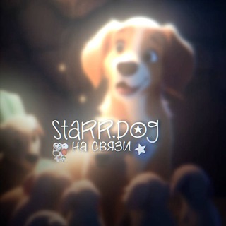 Telegram profile photo for how to join STARR?
