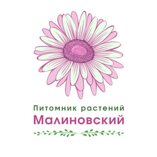Telegram profile photo for 🌿Малиновский питомник растений🌿