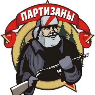 Telegram profile photo for Дневник Партизана 🥷