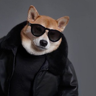 Telegram profile photo for хапы фейскав