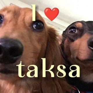 Telegram profile photo for I ❤️ taksa