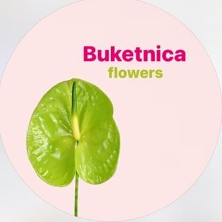 Telegram profile photo for ЦВЕТЫ РОСТОВ «Букетница»