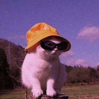 Telegram profile photo for к Пушкину слава пришла в 15 лет