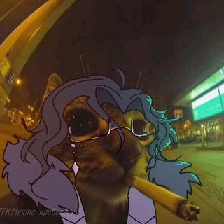 Telegram profile photo for Критика с дивана 🛋