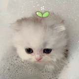 Telegram profile photo for В гостях Хозяйки вод
