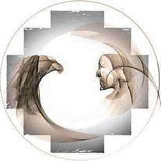 Telegram profile photo for Eduardo Muscara Official Channel