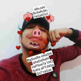 Telegram profile photo for apwe