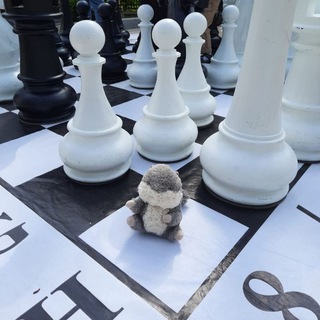 Telegram profile photo for Белка Булка читает. Детские книги, обучение, развитие, психология.