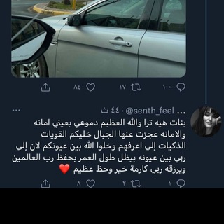 Telegram profile photo for بشـاير أوراد ريــمـ🦋