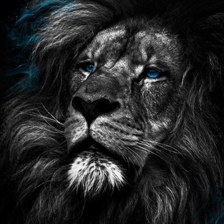 Telegram profile photo for جمع خوبان