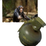 Telegram profile photo for Tank haqida