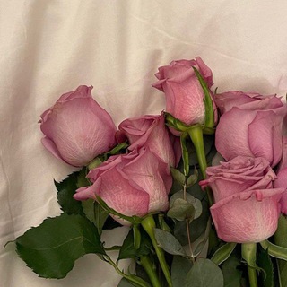Telegram profile photo for ﮼شِـيَـمُ الـصَّـالِـحَـاتِ ﮼ 🌸