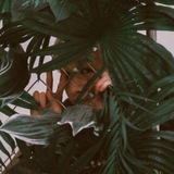 Telegram profile photo for Sincerely, Gorilla. (asa)