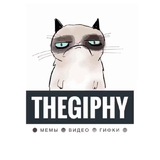Telegram profile photo for THEGiphy