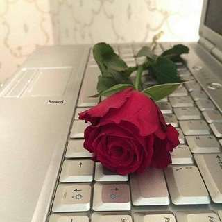 Telegram profile photo for ليه الحزن يانفس🌸