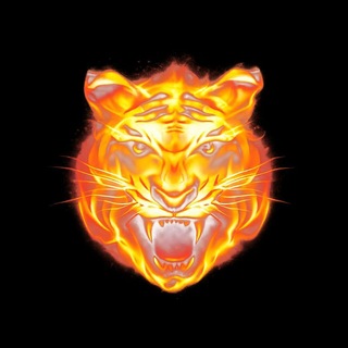Telegram profile photo for TigerMod
