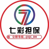Telegram profile photo for 七彩公群导航。