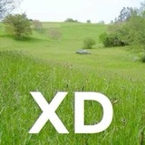 Telegram profile photo for XD