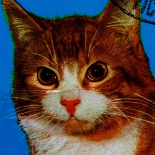 Telegram profile photo for Илюшин мир маленьких находок