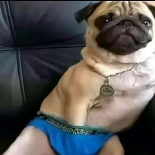 Telegram profile photo for любитель динодропа💀