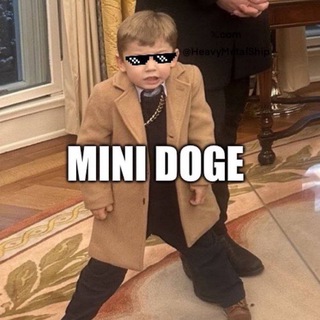 Telegram profile photo for MiniDoge CTO Portal