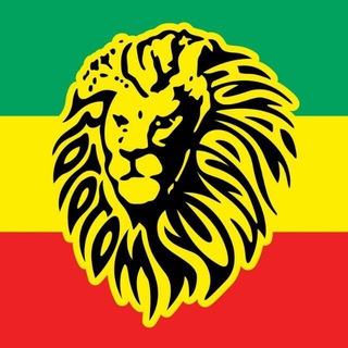 Telegram profile photo for ROTOTOM SUNSPLASH