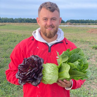 Telegram profile photo for Top Harvest Time 🥬