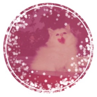 Telegram profile photo for 𝐷𝗒𝗌𝗒𝖺 💕
