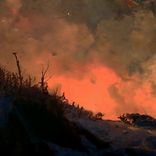 Telegram profile photo for Nubecula: Vouches