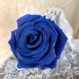 Telegram profile photo for الفِطيمة💙💙
