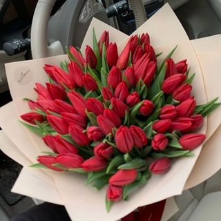 Telegram profile photo for Тюльпаны с любовью❤