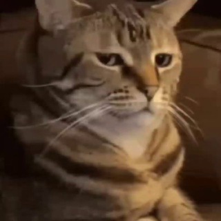 Telegram profile photo for Fangirling 24/7