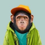 Telegram profile photo for crypto by tiger