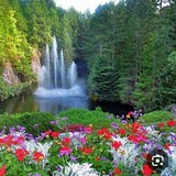 Telegram profile photo for 🌹 مطالب مفید و وحدت امت🌹