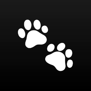 Telegram profile photo for Переходник от @DialektCVV.