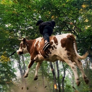 Telegram profile photo for Дни Мтбшника