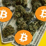 Telegram profile photo for BoBiK's крипта & лайфстиль