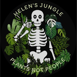 Telegram profile photo for 🪴 Helen's Jungle 🪴 | Будячечная