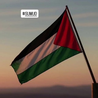 Telegram profile photo for Türkiye-Ortadoğu Gündemi