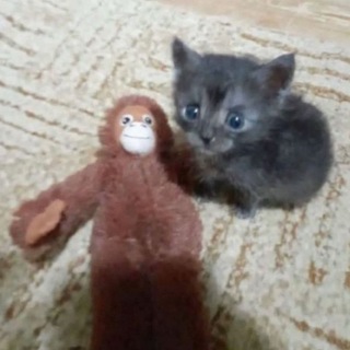 Telegram profile photo for безответные мазки