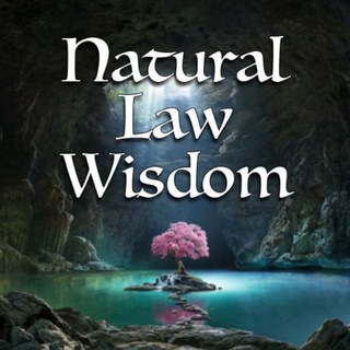 Telegram profile photo for Natural Law Wisdom
