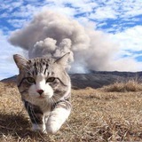 Telegram profile photo for Котик!