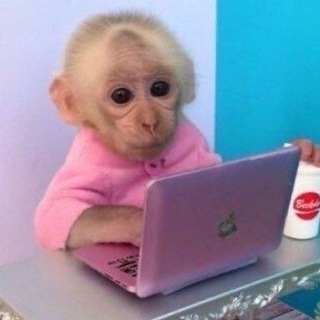 Telegram profile photo for клубничный манке р꩜машк꩜в🍓🍓🍓🍓