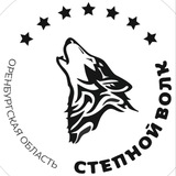 Telegram profile photo for Трейл «Степной Волк»