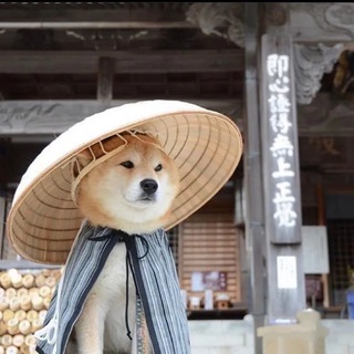 Telegram group profile photo for Mkcloud交流群