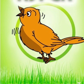 Telegram profile photo for ПОДСЛУШАНО КУРСК